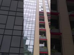 প্রত্যাহারযোগ্য ড্রপ আর্ম উইন্ডো অ্যানিংস